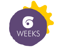 6 Weeks - July 6 - August 14, 2026